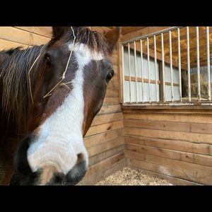 Meet your Posher, Beth